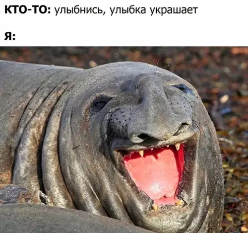 Смешная картинка №478613