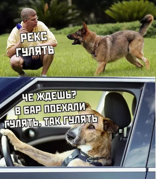 Смешная картинка №372713