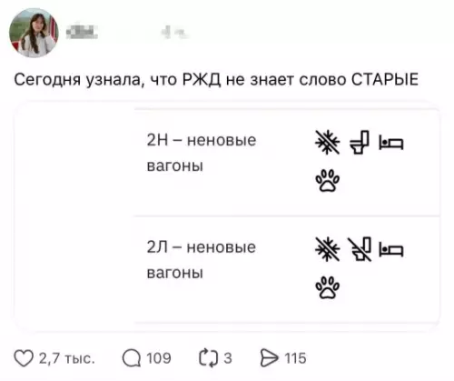 Необычные вагоны РЖД