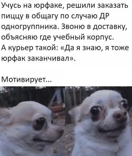 Смешная картинка №391603 Будущий коллега