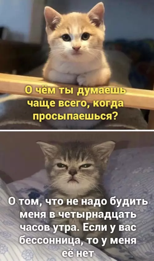 Смешная картинка №652752