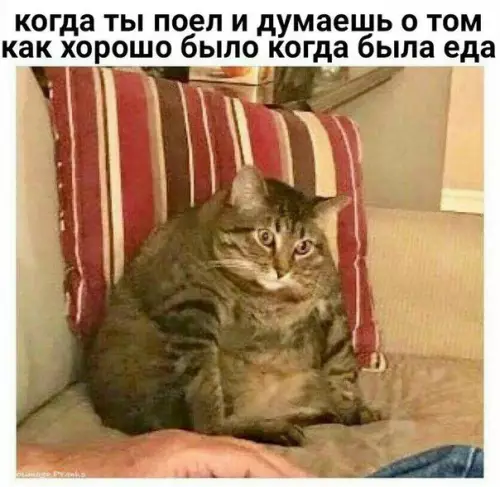 Смешная картинка №203099