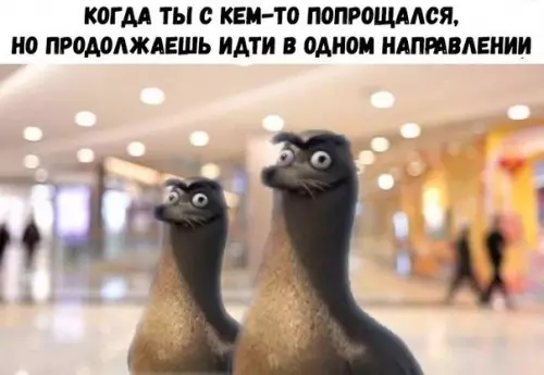 Смешная картинка №270063