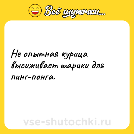 Шутка: Не опытная курица высиживает шарики для пинг-понга.<br>