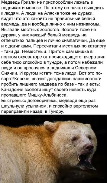 продолжение Смешная картинка №616857 Бeднягa-пyтeшecтвeнник