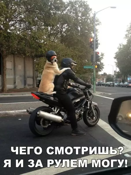 Смешная картинка №302980