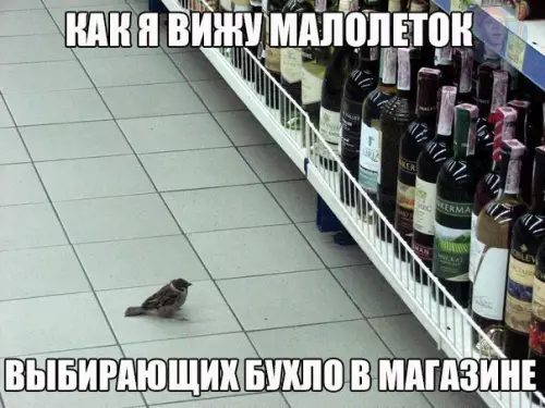 Смешная картинка №180660
