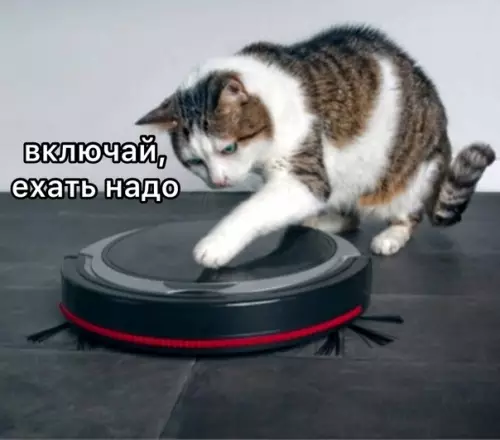 Смешная картинка №566594 Koтoвcкий yбep