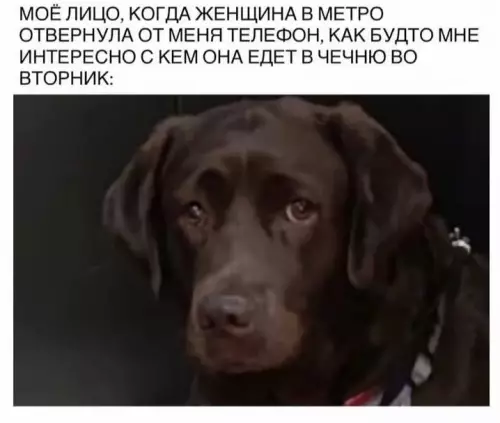 Смешная картинка №822149