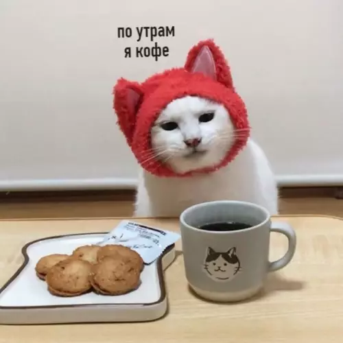 Смешная картинка №519041 Утренняя поэзия