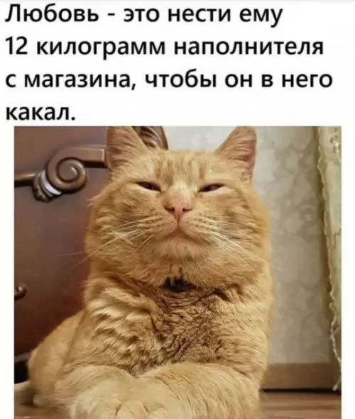 Смешная картинка №755760 Да да, неси