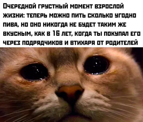 Смешная картинка №782741 Я не плачу, просто жиза в глаза попала