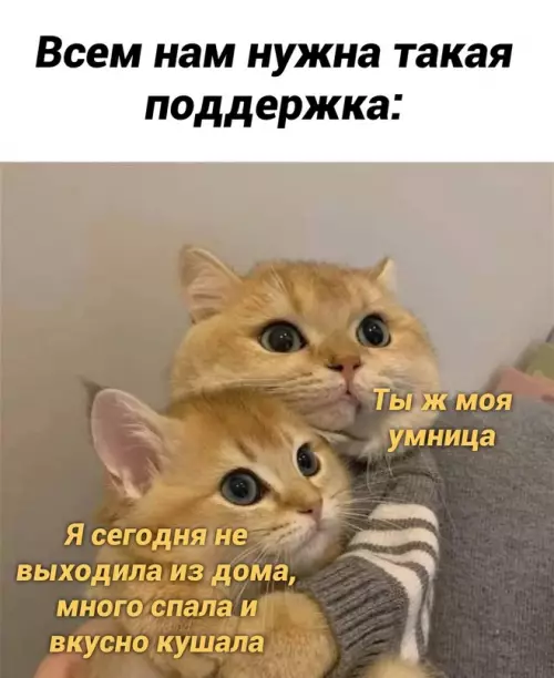 Смешная картинка №668703