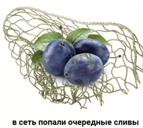 Смешная картинка №670653