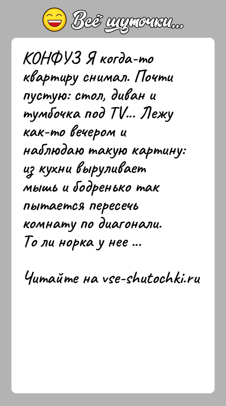 История: КОНФУЗ Я когда-то квартиру снимал. Почти пустую: стол, диван и тумбочка под TV... Лежу как-то вечером и наблюдаю такую картину: