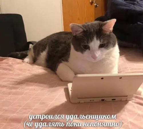 Смешная картинка №717077
