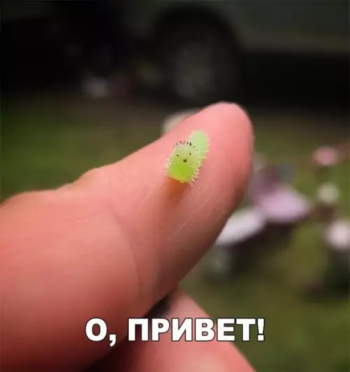 Смешная картинка №199764