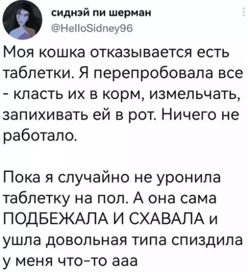 Смешная картинка №696514 Кошки