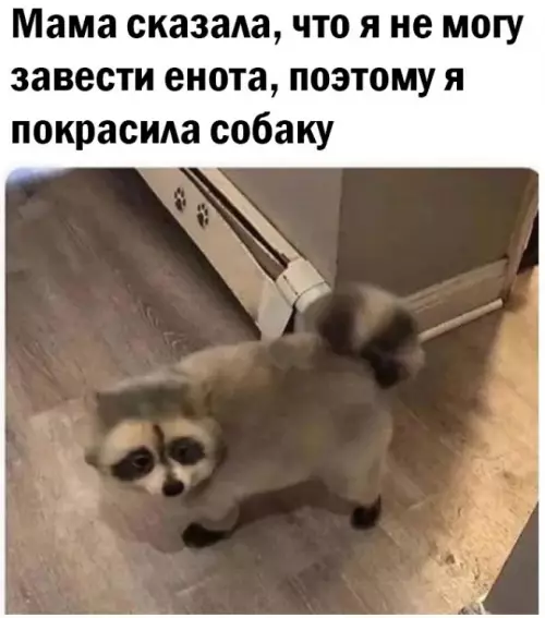 Смешная картинка №674887