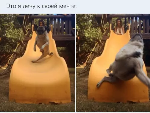 Смешная картинка №503070