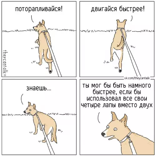 Смешная картинка №730602 Используй все лапы собаки