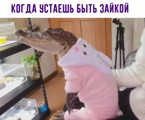 Смешная картинка №653565
