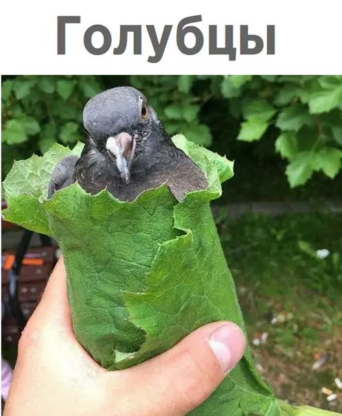 Смешная картинка №259489