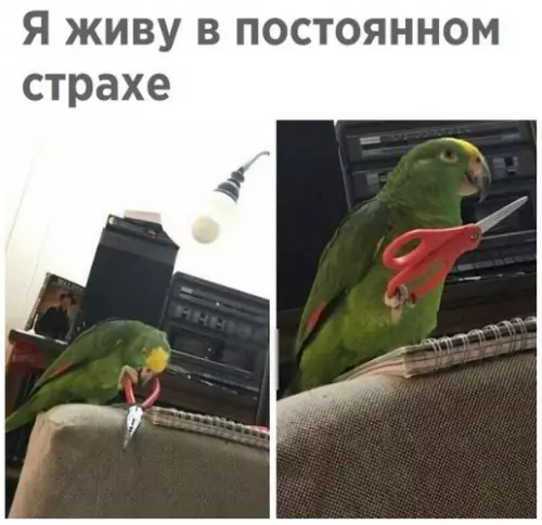 Смешная картинка №228160