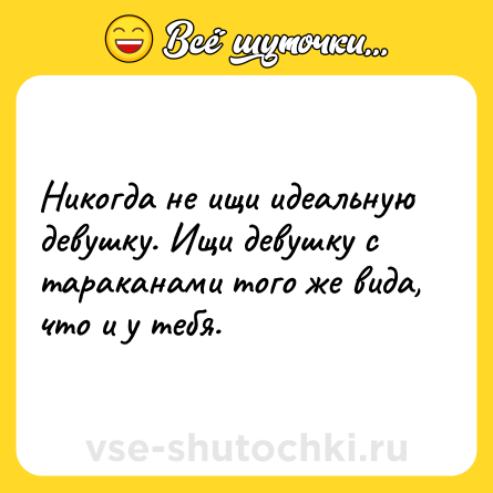 Шутка: Никогда не ищи идеальную девушку. Ищи девушку с тараканами того же вида, что и у тебя.