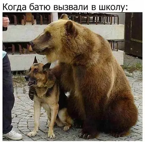 Смешная картинка №252422