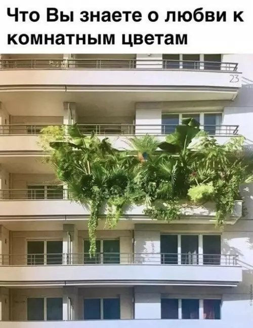 Смешная картинка №649318