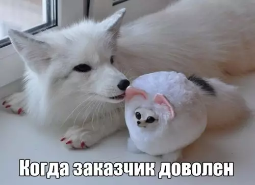 Смешная картинка №301183