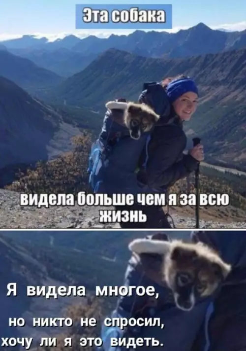 Смешная картинка №671309