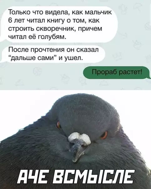Смешная картинка №517840