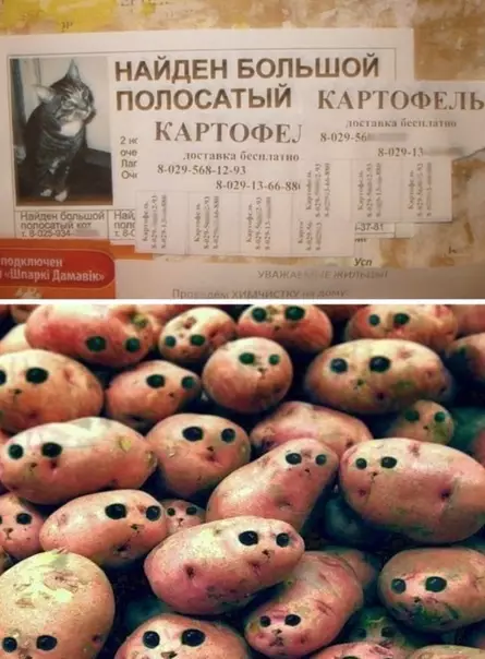 Смешная картинка №496397 Boт этo yдaчнaя нaxoдкa