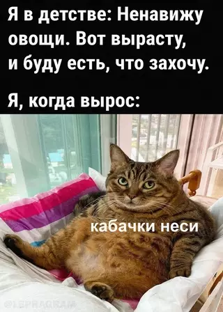 Смешная картинка №655427