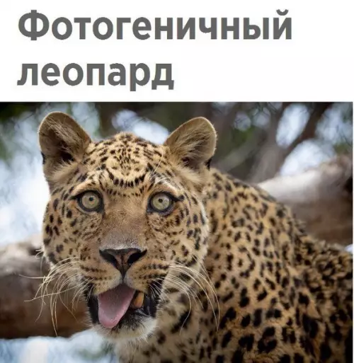Смешная картинка №230445