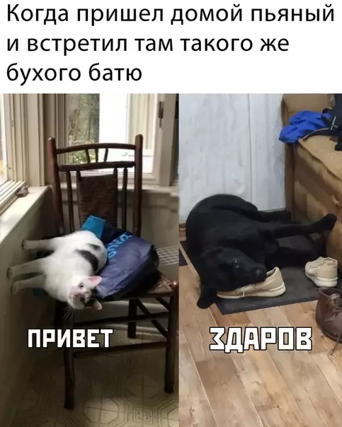 Смешная картинка №473233