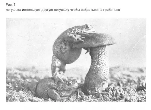 Смешная картинка №664614