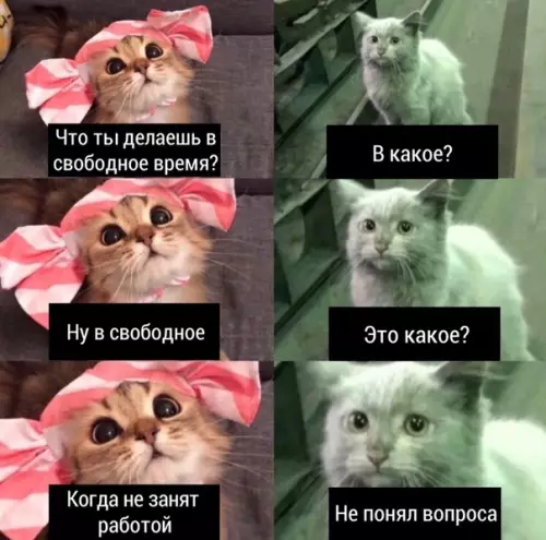 Смешная картинка №470763 Чтo?