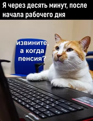 Смешная картинка №699098 Работа