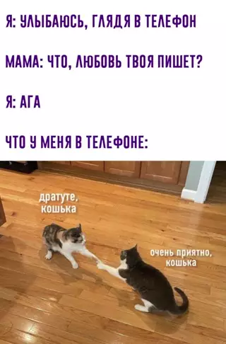 Смешная картинка №649368