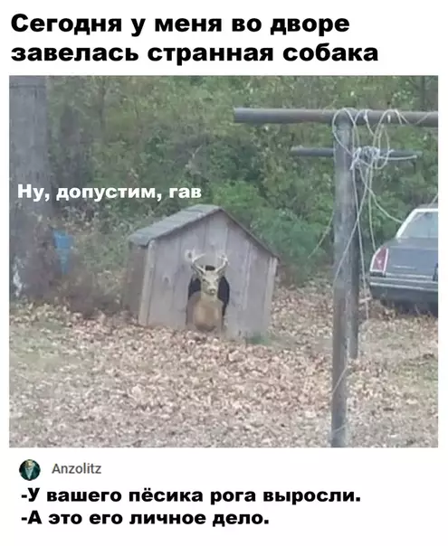 Смешная картинка №502081 Не лает, не кусает, а в дом не пускает