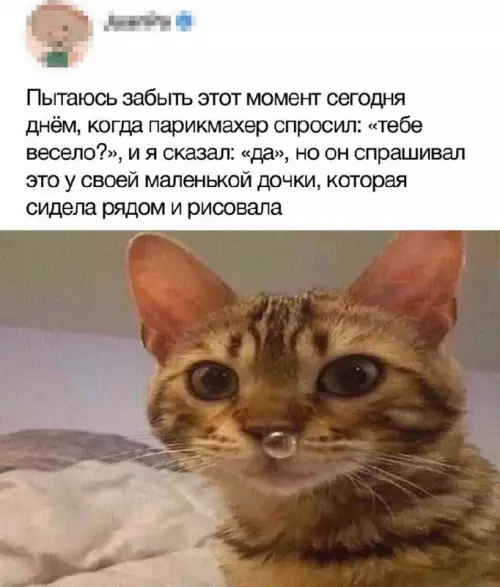 Смешная картинка №733090 Ну, немного, а что?