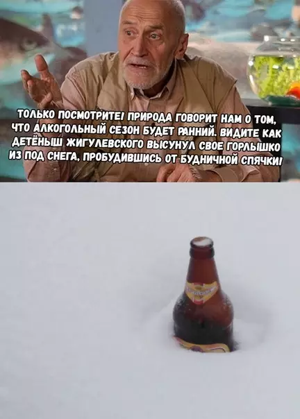 Смешная картинка №330671 Природа прекрасна!