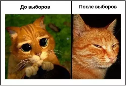Выборы: ожидания vs реальность 😿➡️😼 - До выборов После выборов