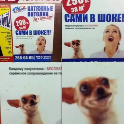 Смешная картинка №215364