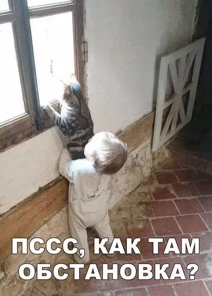 Смешная картинка №268889