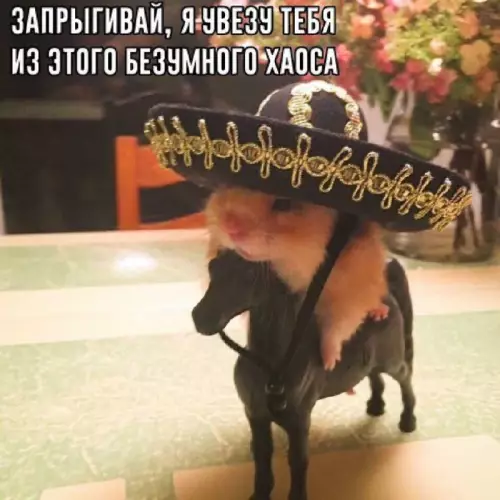 Смешная картинка №671167