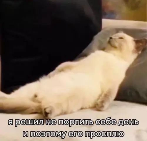 Смешная картинка №768420